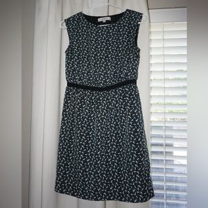 women’s dress
